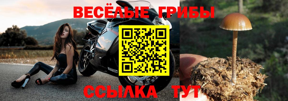 Полысаево  Галлюциногенные грибы Magic Shrooms  Вход с VPN 